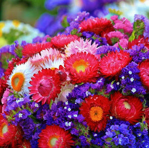 Meet your Posher, Margarita